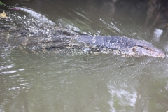 sri_lanka_184