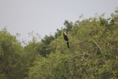 sri_lanka_193