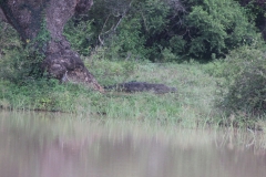 sri_lanka_202