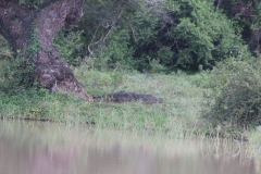 sri_lanka_203