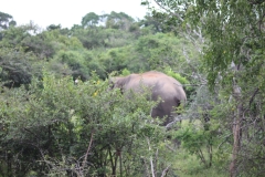 sri_lanka_213