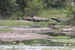 sri_lanka_235