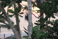 sri_lanka_246