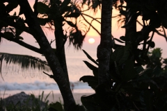 sri_lanka_247