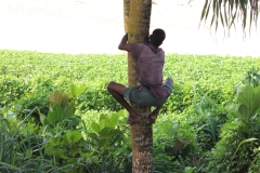 sri_lanka_252