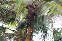 sri_lanka_253